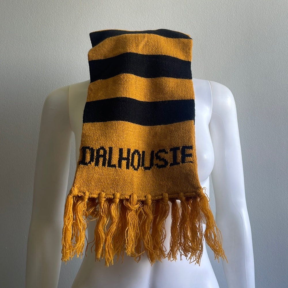 Dalhousie Scarf NWT .